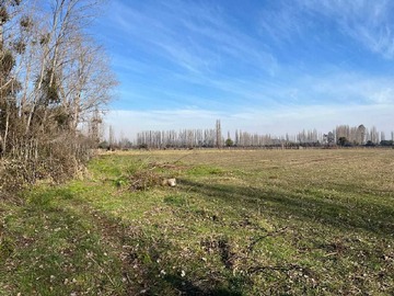 Terreno en venta en Campo agrícola plano en Parral (164866), Parral