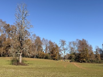 Terreno en venta en Ruta s-91, Loncoche