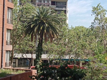 Departamento en arriendo mensual en Metro pedro de valdivia (176456), Providencia - 1 dormitorio, 1 baño