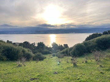 Venta / Terreno Agricola / Curaco de Vélez