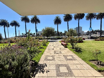 Arriendo Mensual / Departamento / Viña del Mar