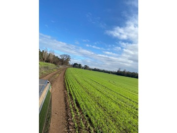 Terreno Agricola en venta en Sin numero, Mulchén
