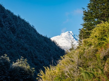 Terreno en venta en 1 hectárea con bosque nativo (134033), Aysén