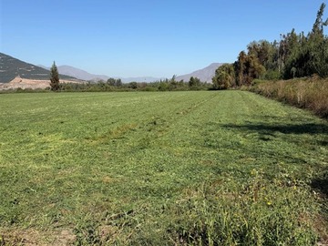 Terreno Agricola en venta en Chagres, catemu, Catemu
