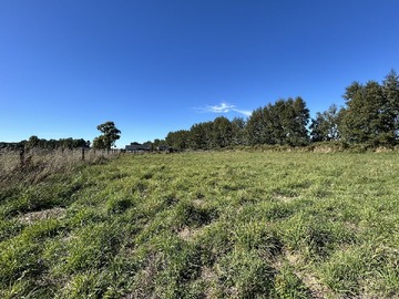 Venta / Terreno / Frutillar