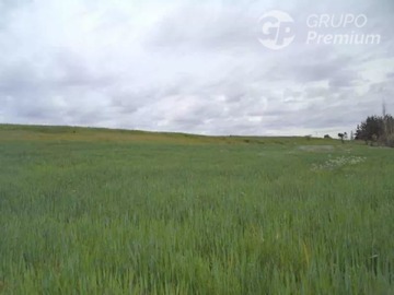 Terreno Agricola en venta en A solo 25 minutos de linares, Longaví
