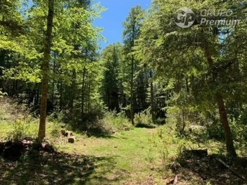 Parcela en venta en Valle Escondido, Curarrehue La Araucanía Chile., Curarrehue