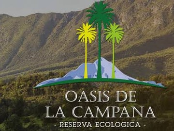 Parcela en venta en Oasis de la Campana, Hijuelas