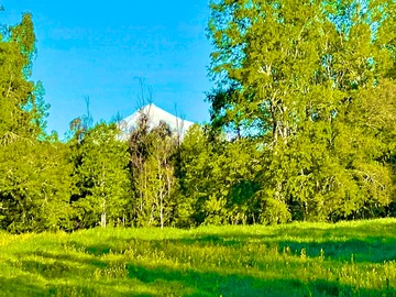 Venta / Parcela / Gorbea