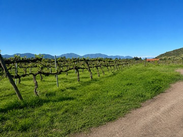 Terreno Agricola en venta en Rancagua, Rancagua