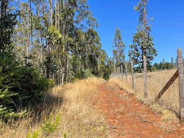 Terreno en venta en Oportunidad de Inversión en Entorno Natural (158802), Temuco