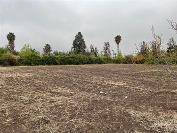 Sitio en venta en Av del Valle, Colina