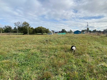 Terreno en venta en Parcela – senderos de trafún (179610), Osorno