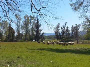 Parcela en venta en Tercera faja carretera ñancul villarica - villarica, Pitrufquén