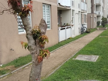 Departamento en arriendo mensual en Patio Outlet Temuco, Temuco - 3 dormitorios, 1 baño