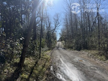 Parcela en venta en Camino Villarrica Pucón, Villarrica