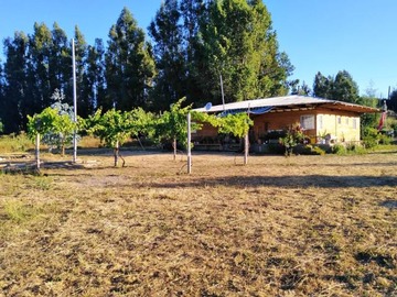 Parcela en venta en Peñaflor - Río Claro, Río Claro - 4 dormitorios, 2 baños