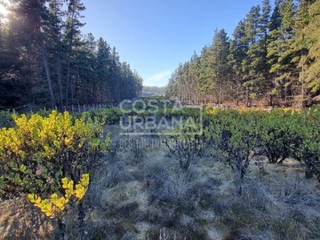 Terreno en venta en Puyehue, Viña del Mar