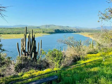 Parcela en venta en Hacienda Los Aromos, Limache