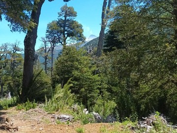 Terreno en venta en Se vende parcela en zona lacustre (70667), Panguipulli