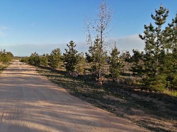 Terreno en venta en Parcela plana en venta (140046), La Estrella