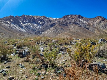 Parcela en venta en El Pangue s/n, Vicuña
