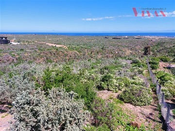 Parcela en venta en Condominio Agua Dulce, Canela