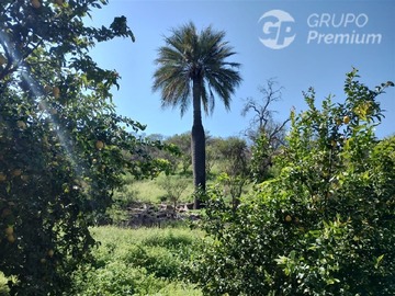 Parcela en venta en Pasando tunel La Calabera, Hijuelas