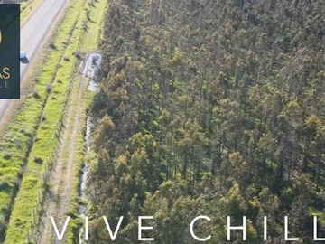 Venta / Parcela / Chillán