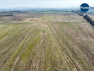 Terreno Agricola en venta en Chillán, Chillán