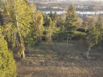 Terreno en venta en Naturaleza y Tranquilidad en Tu Nuevo Hogar (167485), Valdivia