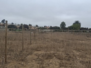 Sitio en venta en Augusto dhalmar con av. Amanecer, Coquimbo