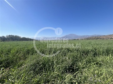 Venta / Terreno / Curacaví