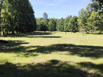 Parcela en venta en sector rio carhuello caburgua, Pucón