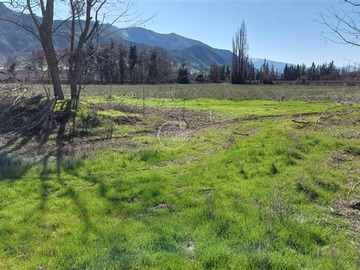 Terreno Agricola en venta en Rinconada - las bandurrias, Rinconada