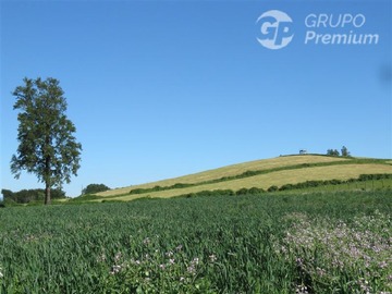 Parcela en venta en Sector Cayurruca, Río Bueno