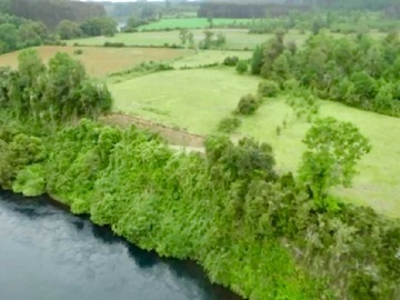 Terreno en venta en Parcela de 1ha. con acceso al Río Bueno. (142503), Río Bueno