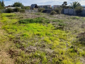 Sitio en venta en Los pinos, Quilpué