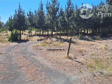 Parcela en venta en Ruta Q-15. Camino a Pedregal., Los Ángeles