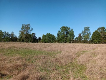 Terreno en venta en Se Vende 1 Hectárea de Terreno