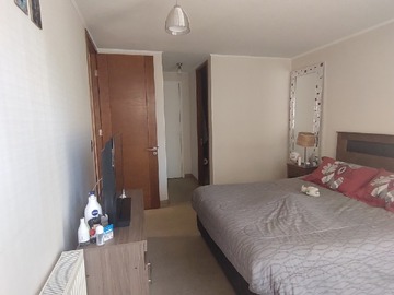 Arriendo Mensual / Departamento / Providencia