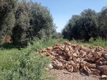 Terreno en venta en Azapa km4, Arica