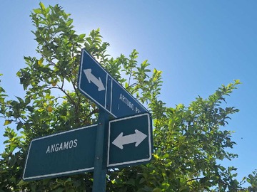 Terreno en venta en Sitio Céntrico Excelente Conectividad (160758), Pichidegua