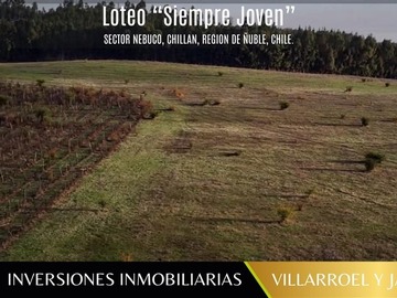 Parcela en venta en Venta de parcela chillán viejo, Chillán Viejo