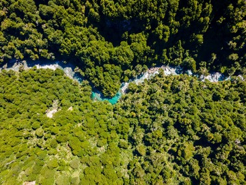 Terreno en venta en Terreno de 4,5 Ha. a Orilla de Río y Bosque (138955), Cisnes