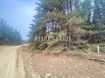 Terreno en venta en Viña del Mar, Los Pinos, Viña del Mar
