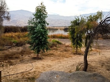Parcela en venta en Italia- Laguna Batuco, Lampa