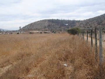 Terreno en venta en Roberto Loyola, Casablanca