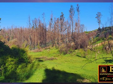 Terreno en venta en Vende 5,11 hectareas en tome (67708), Tomé