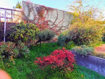 Casa en venta en Cálido Hogar con Excelente Conectividad (178199), Chillán - 4 dormitorios, 2 baños
